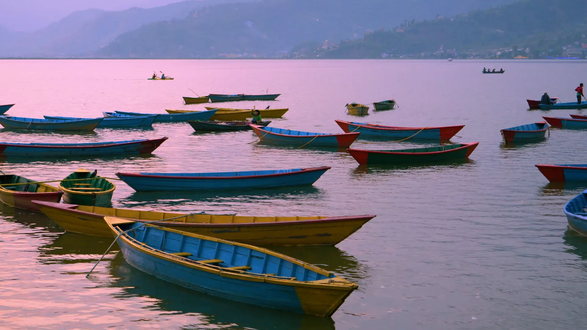 Colourful wooden rowing boats on Phewa Lake at dusk